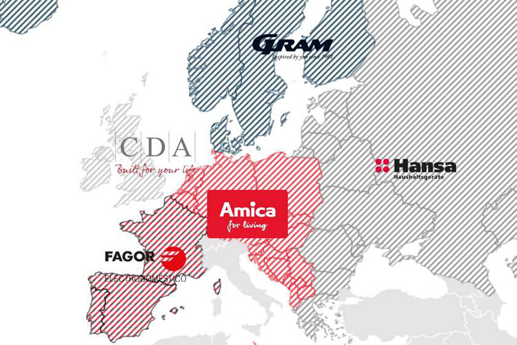 Рынки группы компаний Amica Рынки группы компаний Amica