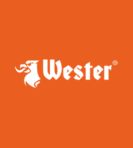 Логотип WESTER